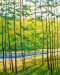 Click on any thumbnail to view larger images. Point to top left or right side of large image for navigation.